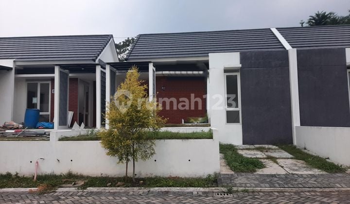 Disewakan rumah cluster murah view gunung