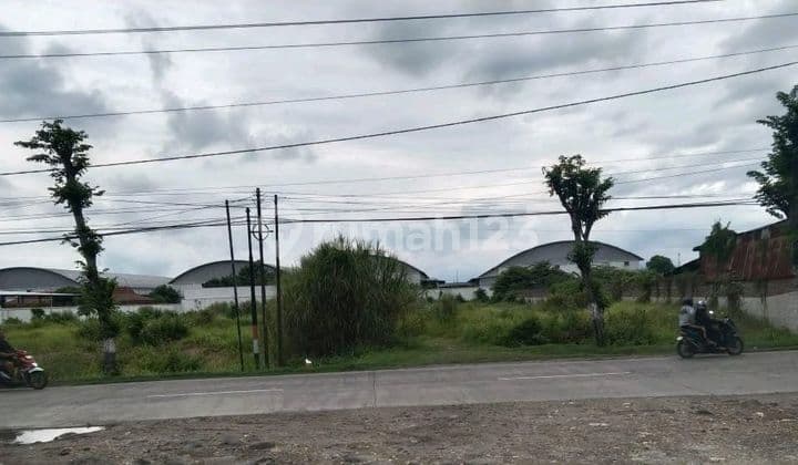 Disewakan Tanah Di Karangawen Cocok Untuk Industri