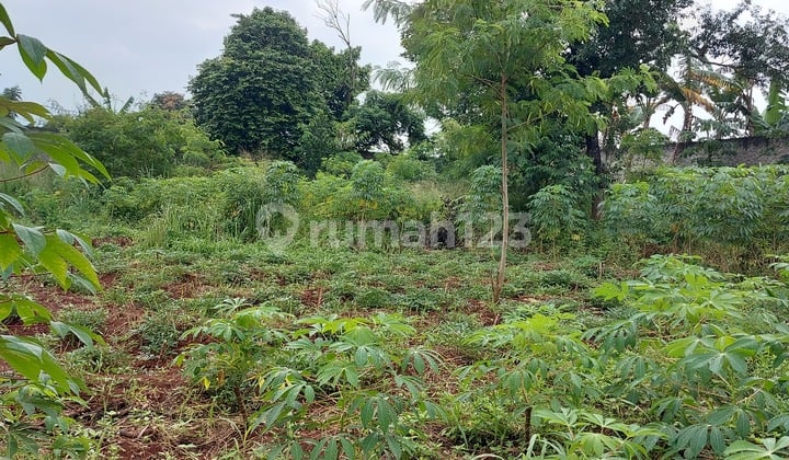 LAND FOR SALE, SUITABLE FOR PROPERTY AND BUSINESS.