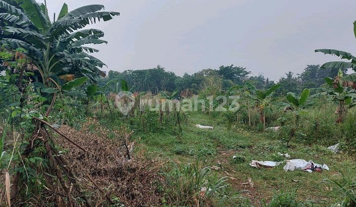 Strategic Land for Sale Cheap. Negotiable Until Deal.