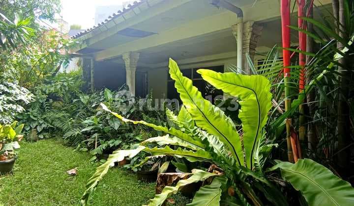 Old 1.5-story house located near SCBD Sudirman, Kebayoran Baru.