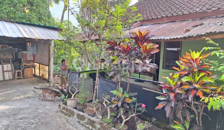 Rumah Dan Tanah Murah Di Kerambitan Tabanan Bali