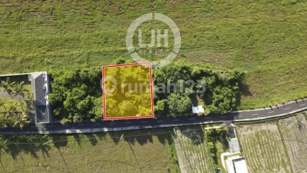 Beautiful Land For Sale Just Minutes From The Beach - Ideal For Resort, Villa, Or Private Home At Pangkung Tibah, Tabanan, Close To Ciputra Beach Resort