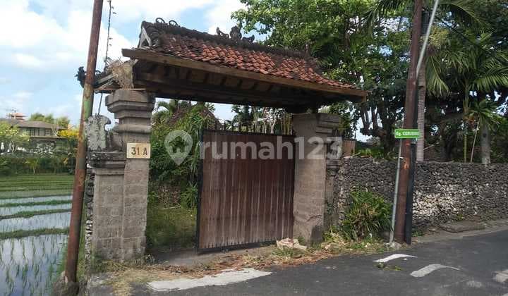 Tanah Premium Di Kerobokan Dengan View Sawah Dan Villa Area