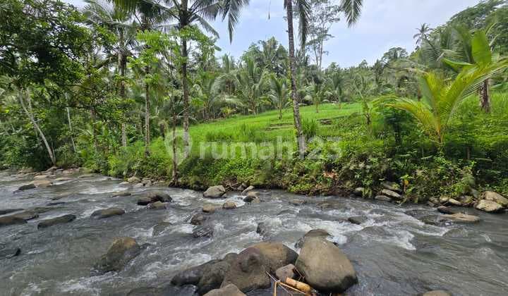 Tanah 9,7 Are Los Sungai di Penebel Tabanan Bali