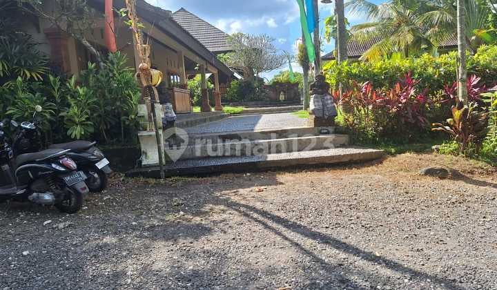 Dijual Tanah.beserta.tempat Wisata Di Daerah Wisata Carangsari, Petang Badung