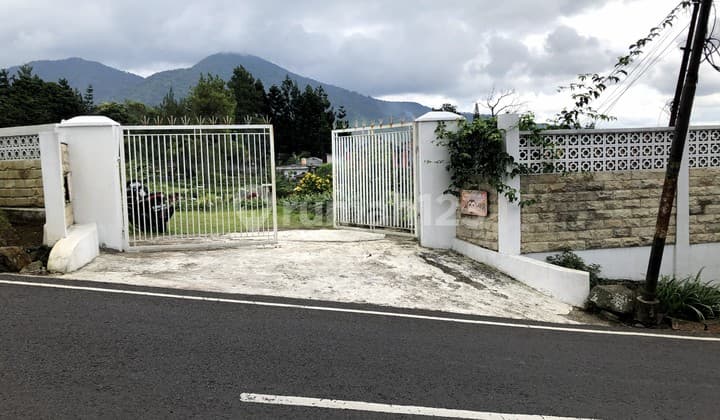 Strategic Profitable Land on Jl Kebun Raya Cibodas Puncak