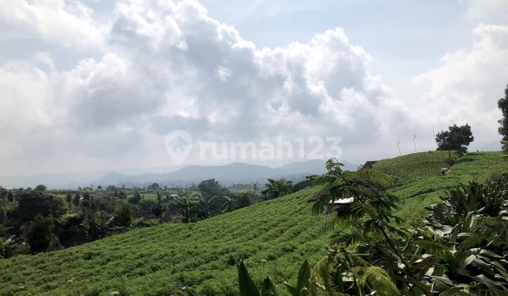 Cepat Tanah Strategis Pemandangan Memuaskan di Cipanas Puncak