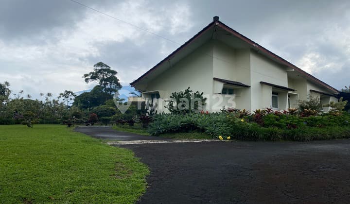 Villa Terawat Murah Di Bawah Njop Hook Di Coolibah Puncak