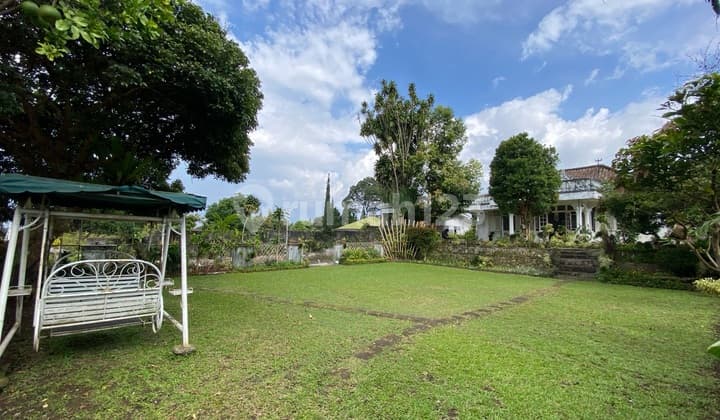 Rumah Belanda Cocok Untuk Usaha/huni Samping Jalan Raya Nasional