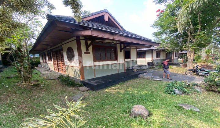 Osaka Style Affordable Ready-to-Live Repaint in the City of Flowers