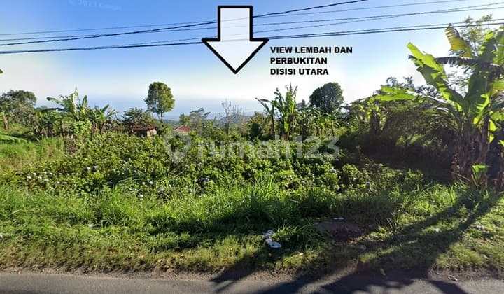 Tanah murah di Munduk bali view danau