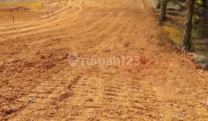 Strategic Land Near IKN Free Tax and Name Transfer Fees