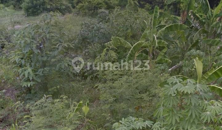 Nyang Nyang – Leasehold Land in Commercial Zone