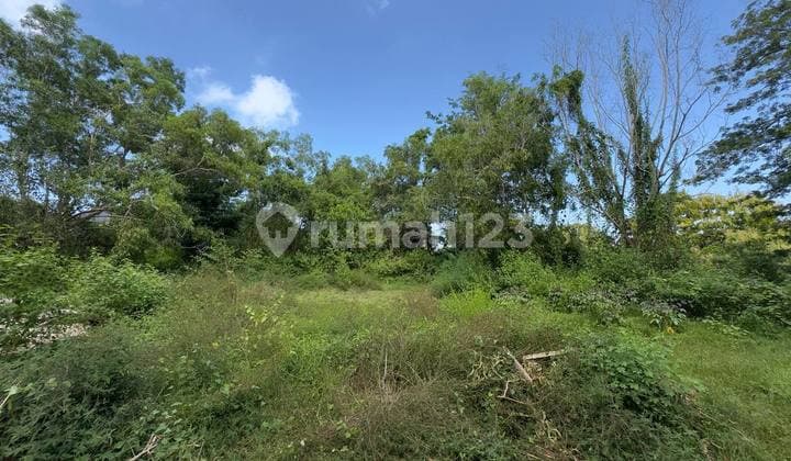 Leasehold Land Near Nyang Nyang 5-15 Are.