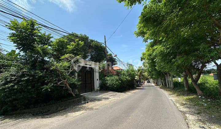 Leasehold Land For Rent In The Strategic Center Of Ungasan