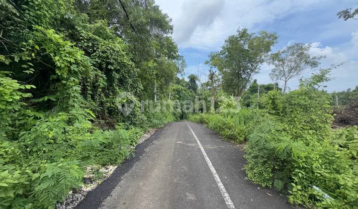 Strategic Location Land In Ungasan - Leasehold