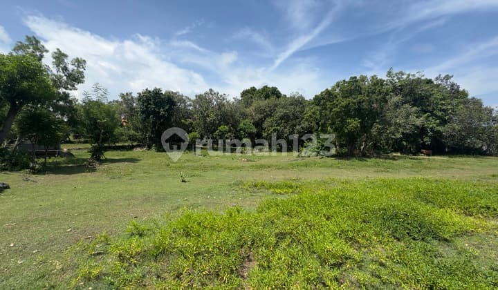 Leasehold Land In Pandawa Area 1000.0 m²
