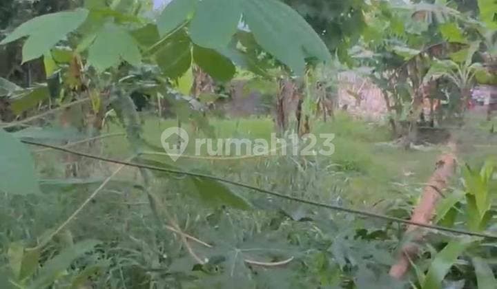 Cheap Leasehold Land In Ungasan 11 Mln/Are/Year