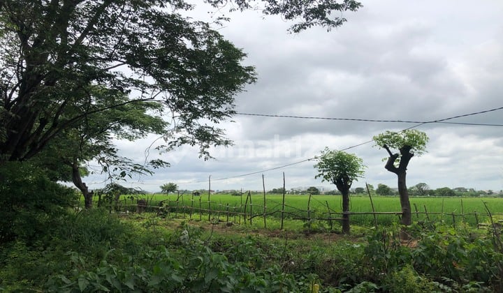 Industrial Land for Factory or Warehouse, Strategic Location, South Facing in Pancatama Cikande, Serang, Banten