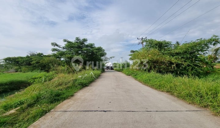 Tanah Murah Posisi Hoek/Hook Sangat Luas 140ha Lokasi Strategis Kawasan Industri Bisa Limbah B3 Pinggir Jalan Raya Utama Di Kawasan Industri Cikande