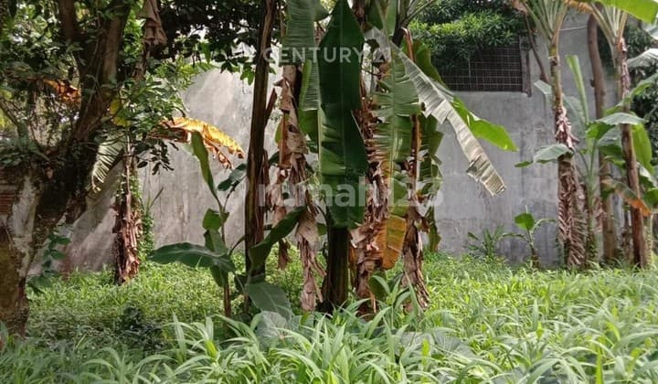 Land Plot in Sayap Sukajadi Suitable for Productive Land