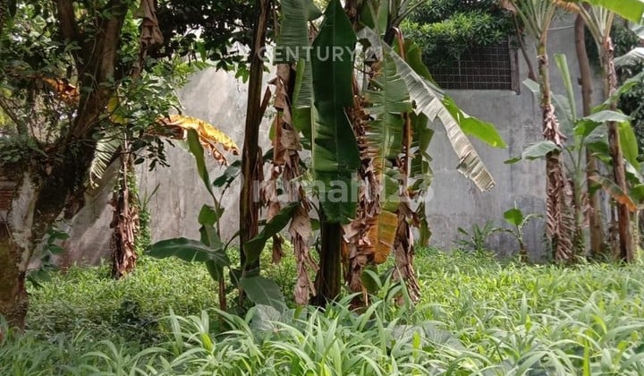 Tanah Kavling di Sayap Sukajadi Cocok untuk Lahan Produktif
