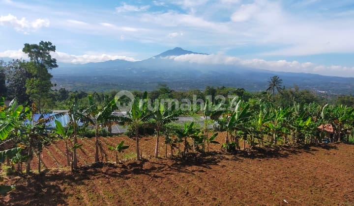 Tanah Rata is good, fertile, suitable for residential homes or villas, the view is the best, strategic location in Cijeruk.