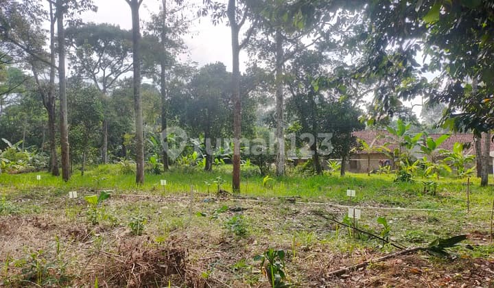 Tanah untuk berkebun atau investasi lokasi strategis