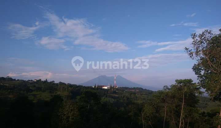 Tanah murah&rata bagus cocok buat bisnis view lepas ke gunung