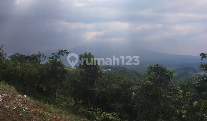 Tanah sawah&darat view the best lokasi strategis dicaringin