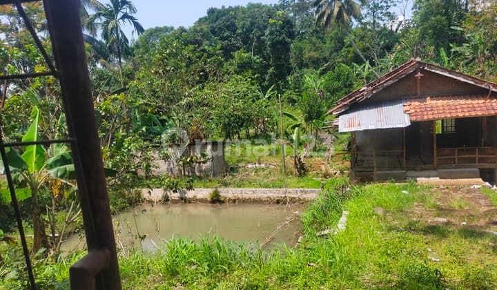 Tanah murah untuk bertambak ikan atau investasi lokasi strategis
