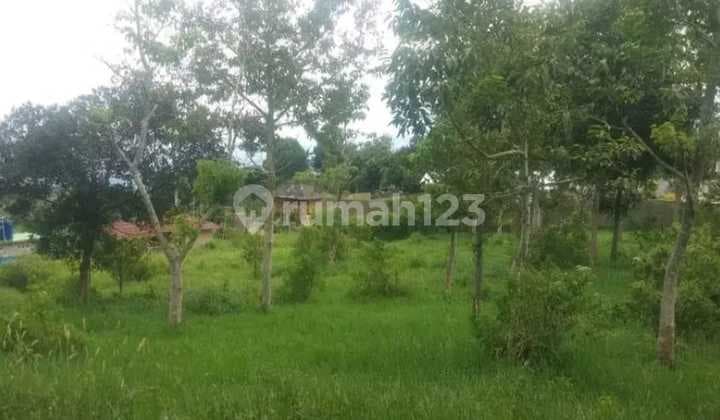 Tanah murah+Rata untuk villa ataupun rumah tinggal strategis