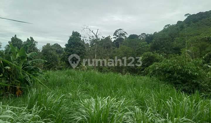 Lokasi untuk villa+ rumah tinggal+perternakkan lokasi strategis