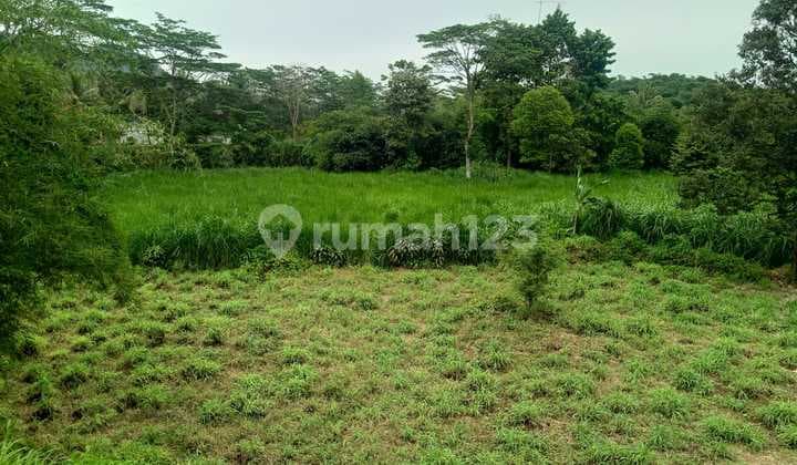 Lokasi nempel sungai sangat strategis+jalan raya rumpin