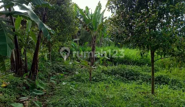Lokasi murah rata sangat strategis untuk villa+rumah tinggal