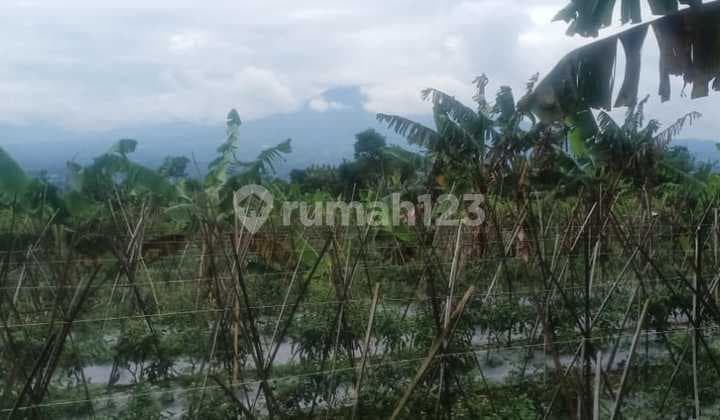 Tanah murah untuk villa+rumahtinggal lokasi strategis view lepas