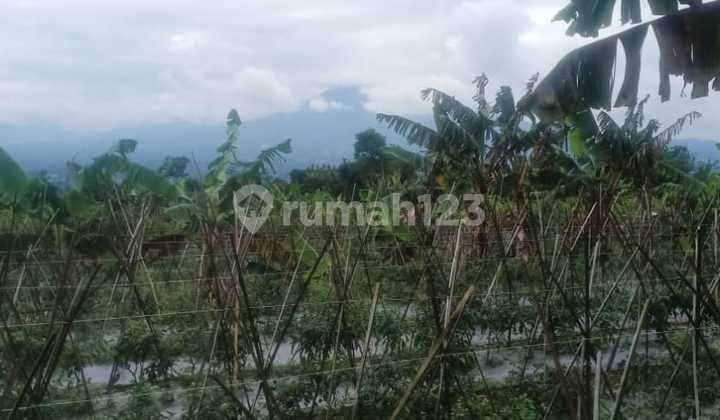 Tanah murah untuk villa+rumahtinggal lokasi strategis view lepas
