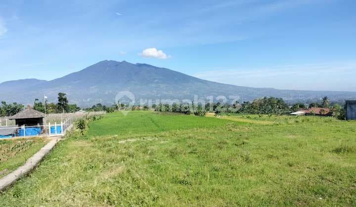 tanah sawah subur sangat strategis view lepas Gn salak dicaringin
