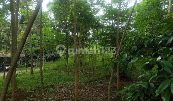 Tanah murah untuk investasi+berkebun lokasi sangat strategis