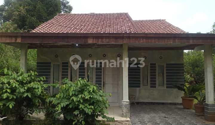Tanah flus rumah kebun sangat strategis banget dileuwiliang