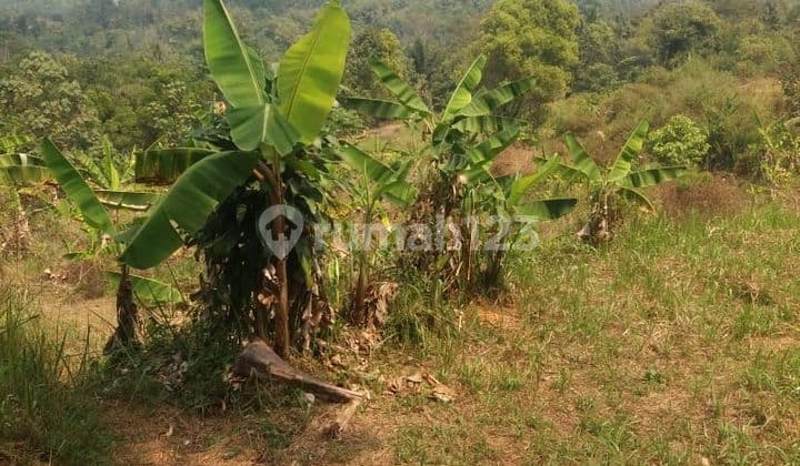 Tanah murah sangat strategis view lepas dicikidang