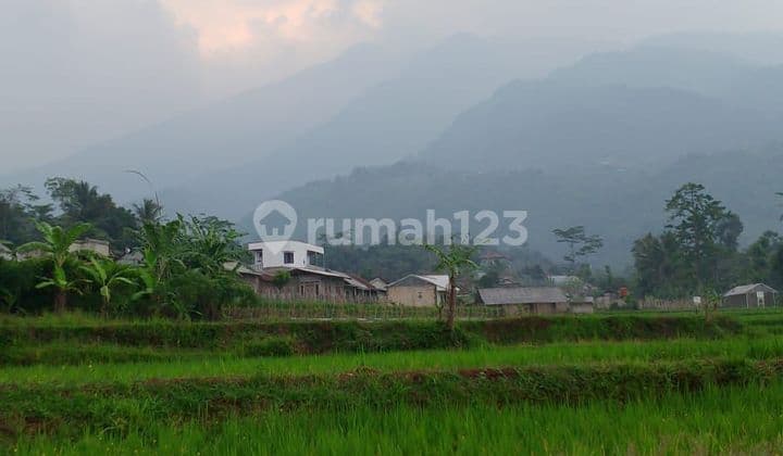Tanah sawah sangat strategis view lepas air bagus