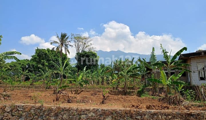 Tanah bagus rata view lepas ke gunung cocok untuk villa+rumah