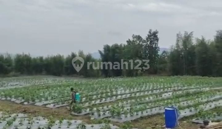 Affordable garden land flat with direct mountain view highly strategic.