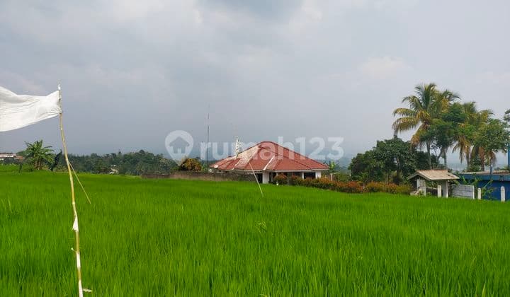 Tanah subur sawah murah sangat strategis view lepas kota+gunung