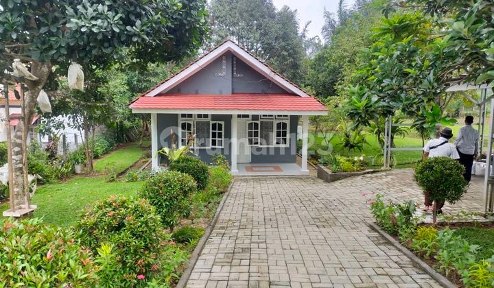 Villa cantik kebun siap huni sangat strategis view lepas