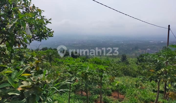 Tanah kebun full view sangat strategis untuk villa+glamping