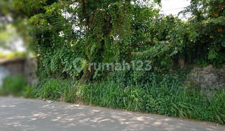 Land attached to the main road for business + investment, strategic location.