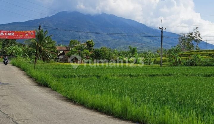 Tanah sudah berbentuk wisata+cafe+glamping sangat strategis+view lepas ke gunung